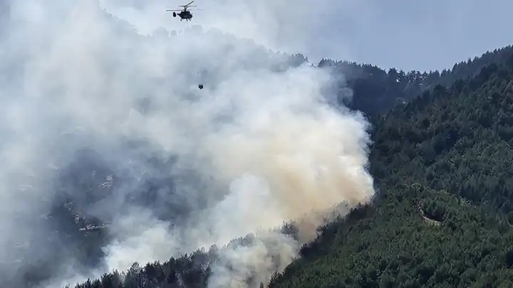 Hatay'da orman yangını!