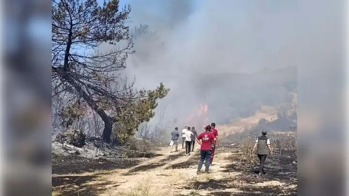 Ormanı yakan kadına ev hapsi!