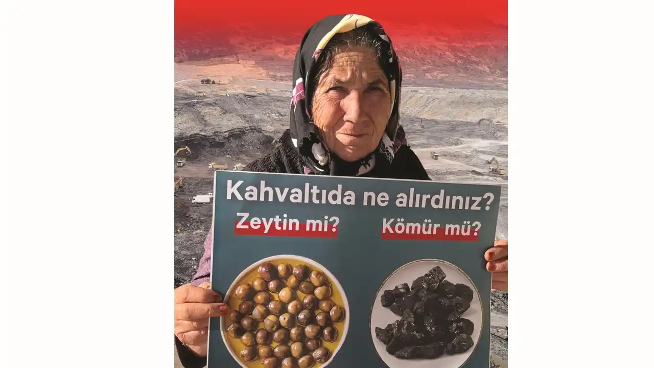 Zeytinlikler için bir imza daha haberinin görseli