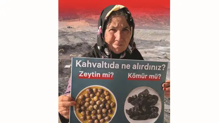 Zeytinlikler için bir imza daha