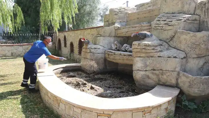 Efes Selçuk'ta kapsamlı ilaçlama çalışması