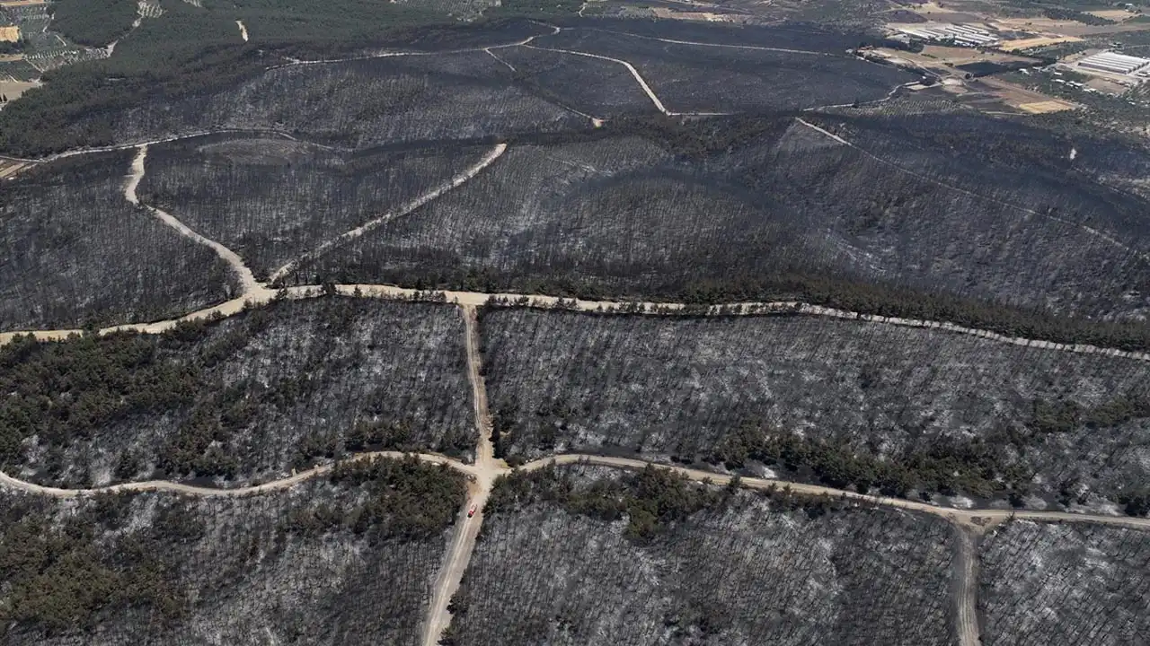 Aliağa-Foça orman yangını 22 saatte kontrol altına alındı: Yanan alan drone ile görüntülendi haberinin görseli