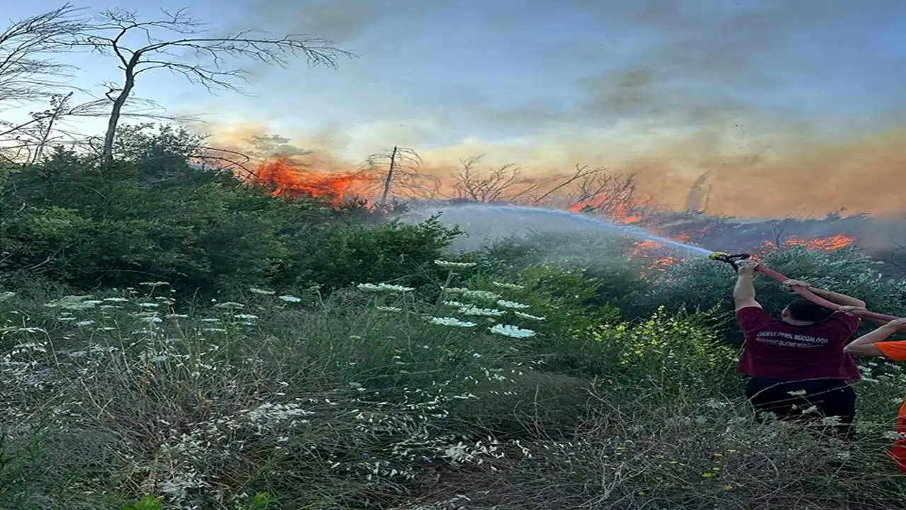 Antalya'da orman yangını! haberinin görseli