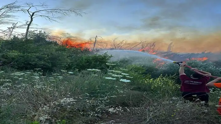 Antalya'da orman yangını!