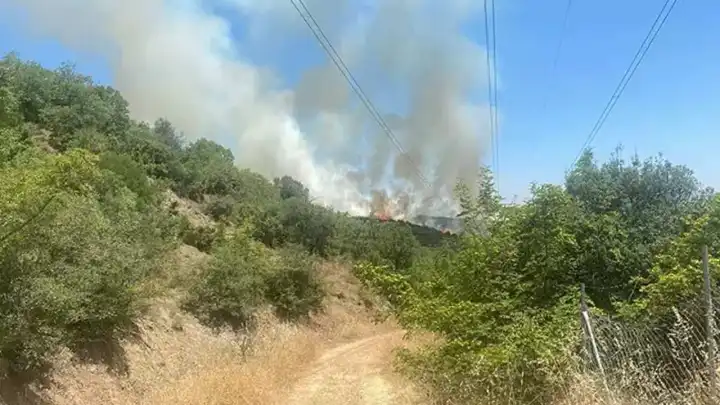 Bursa'da orman yangını...