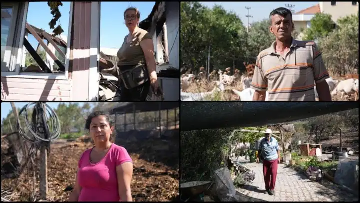 Foça’da alevler dinse de izleri kaldı: Evler ve ağıllar küle döndü