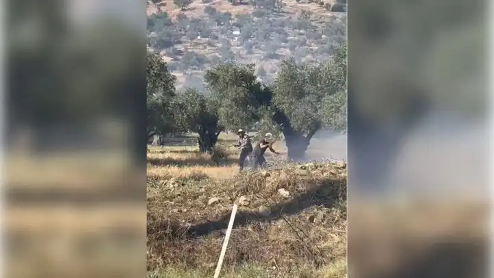 İzmir haber: Bayındır'da yangın!