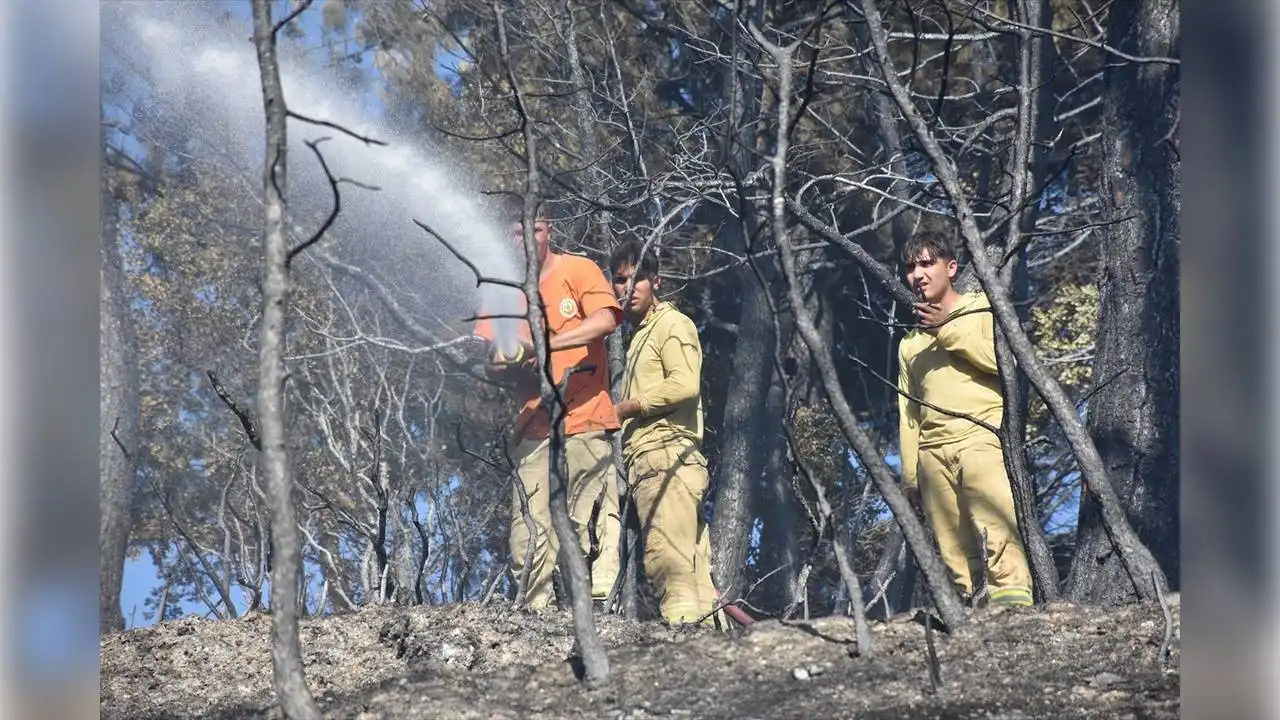 İzmir haber: Kemalpaşa'daki yangın kontrol altında haberinin görseli