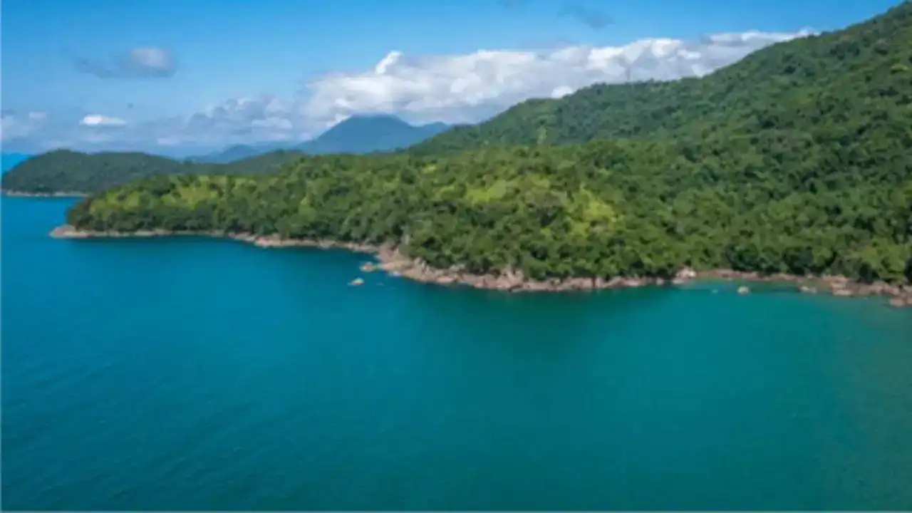 Kıyıdaki ormanlar turizme açıldı! haberinin görseli