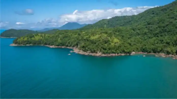 Kıyıdaki ormanlar turizme açıldı!