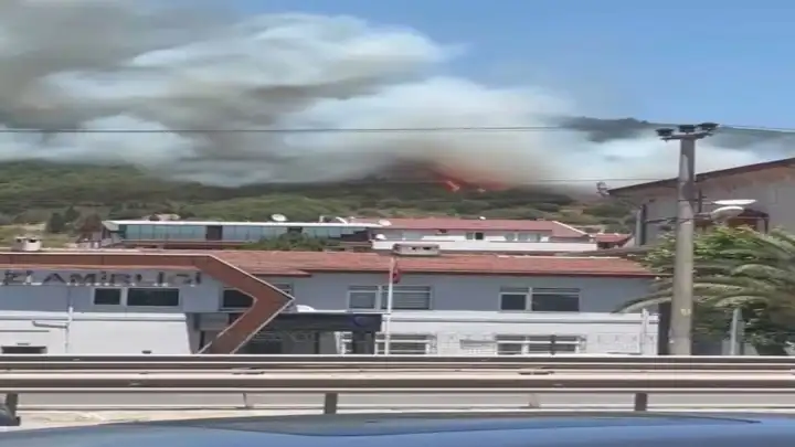 Kocaeli'de makilik alanda büyük yangın!