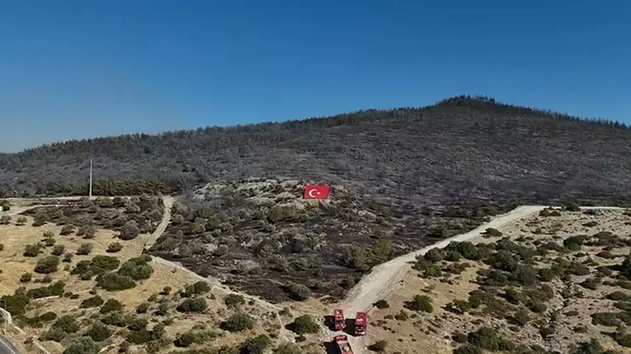 Aliağa’daki orman yangını 11 saatte kontrol altına alındı: Tahribat havadan görüntülendi haberinin görseli