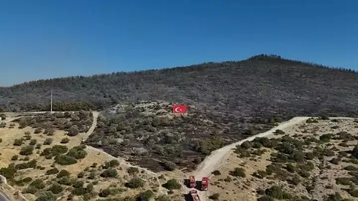 Aliağa’daki orman yangını 11 saatte kontrol altına alındı: Tahribat havadan görüntülendi
