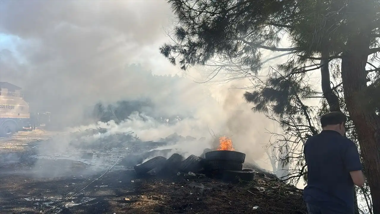 Muğla'da orman yangını! haberinin görseli