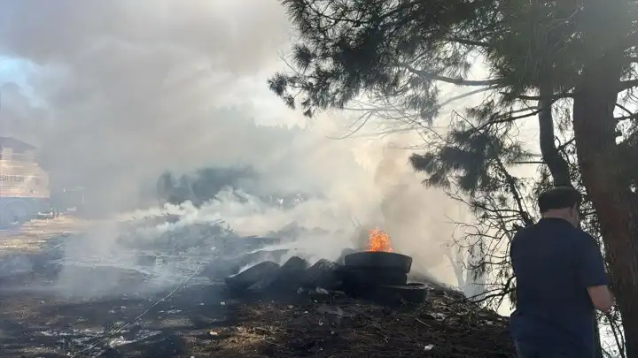 Muğla'da orman yangını!