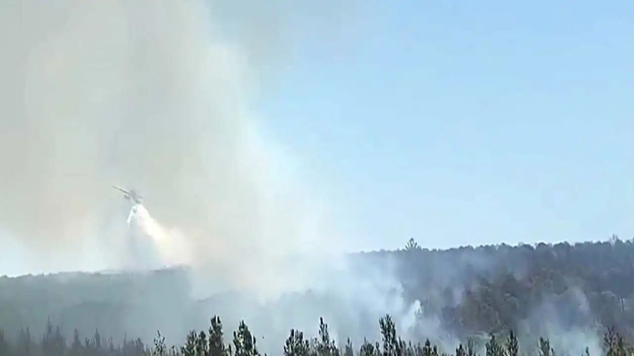 Tekirdağ'da orman yangını! haberinin görseli