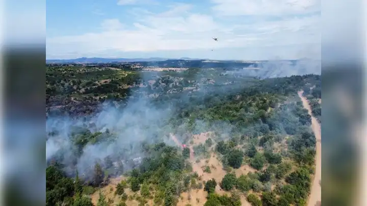 Edirne'de büyük orman yangını