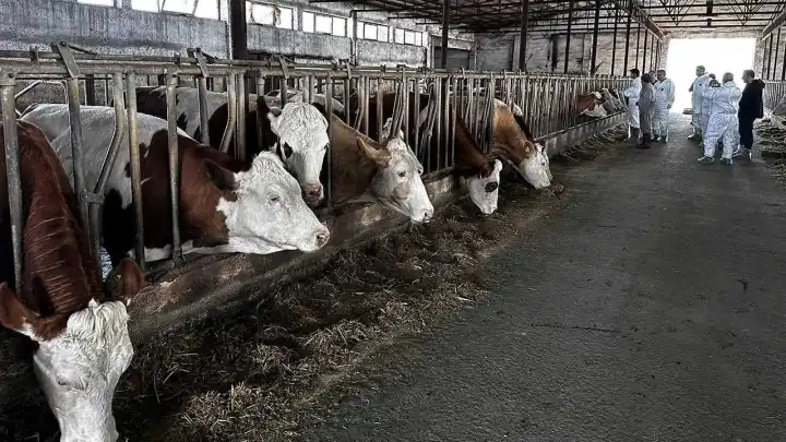 Manisa'da 8 köy karantinaya alındı!