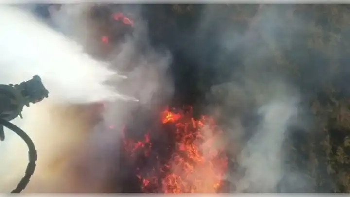Manisa Akhisar'daki orman yangını 2'inci gününde