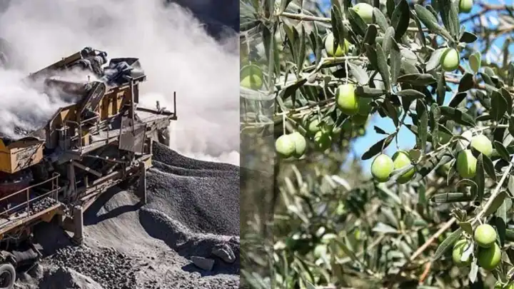 EBSO meclisinde zeytinciler ve madenciler karşı karşıya