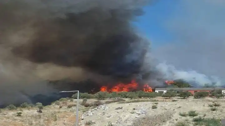 Hatay'da orman yangını: Ekipler müdahale ediyor!