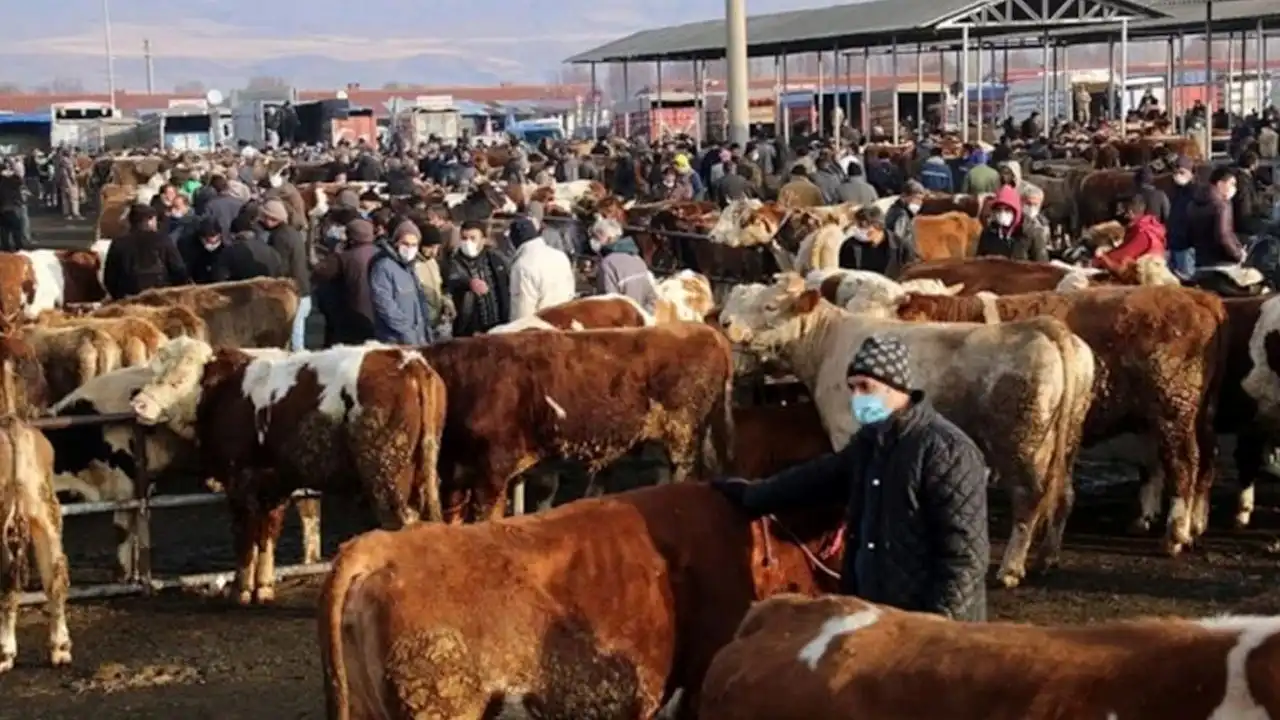Bakanlık açıkladı: Tüm hayvan pazarları kapatıldı haberinin görseli