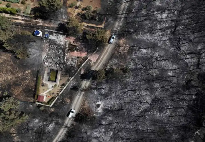 İzmir Bornova'da orman yangınına neden olan 3 kişi tutuklandı