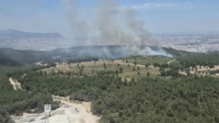 İzmir haber: Buca'da orman yangını