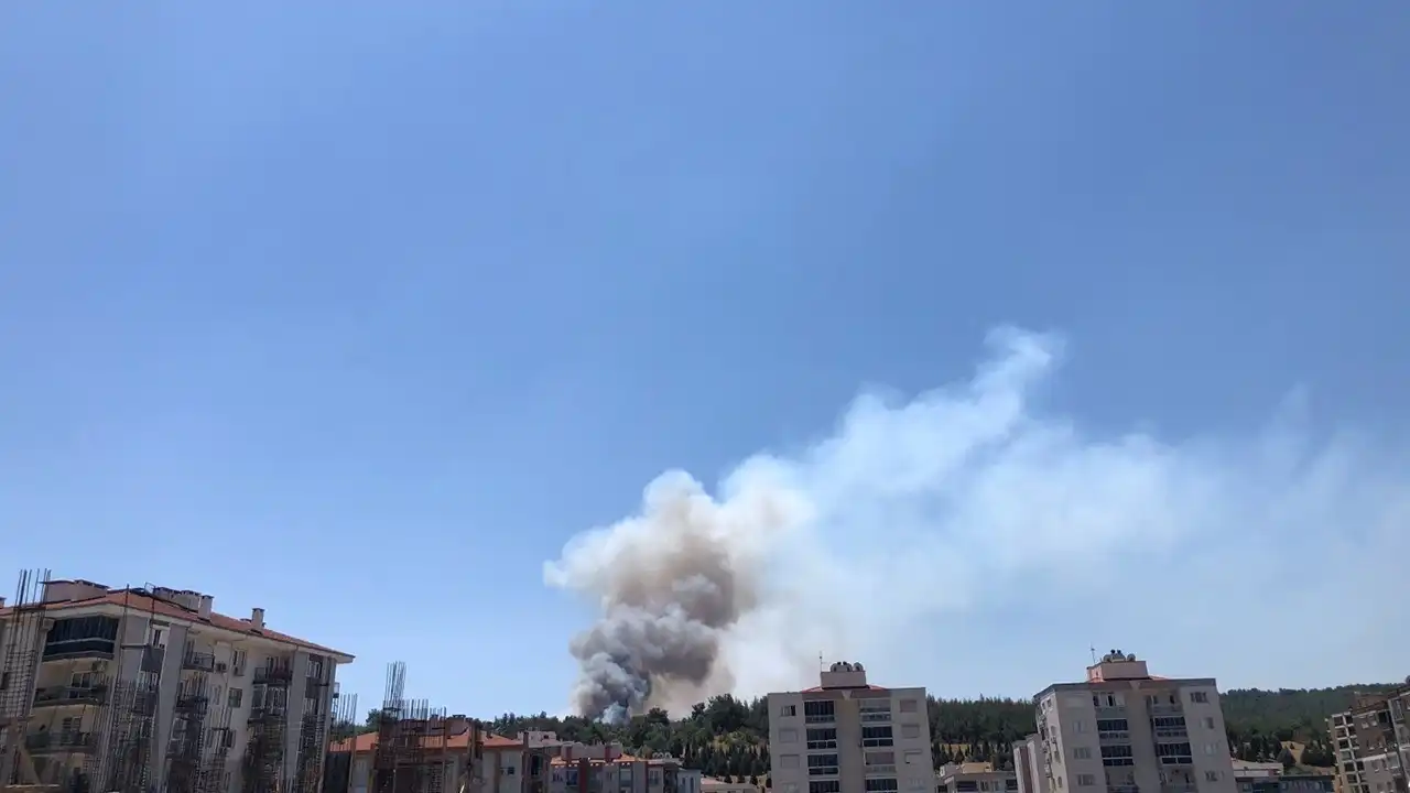 İzmir haber: Buca Zafer Mahallesi’nde orman yangını çıktı haberinin görseli