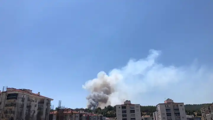 İzmir haber: Buca Zafer Mahallesi’nde orman yangını çıktı