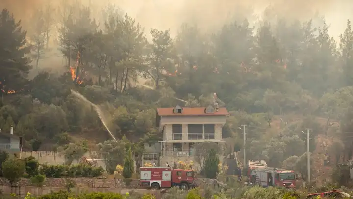 İzmir haber: Yangınlar 10 bin hektarlık alanı kül etti