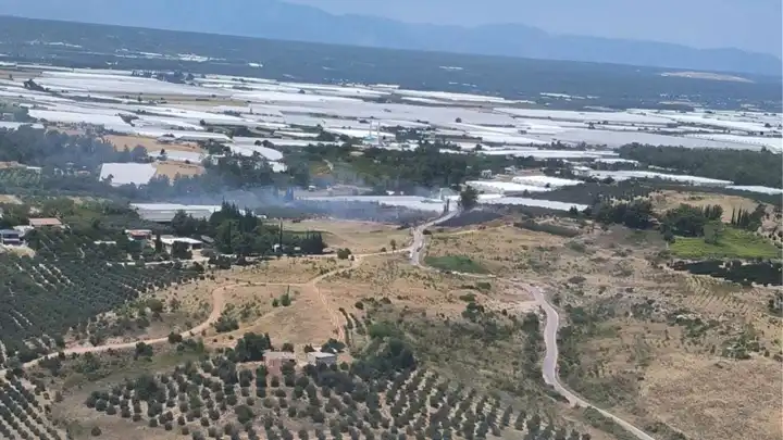 Antalya'da makilik alanda orman yangını!