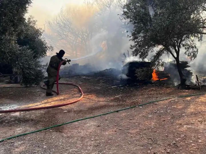 Çeşme 7 saattir yanıyor: Ekipler seferber oldu, 3 mahalle tahliye edildi haberinin görseli