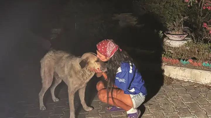 HAYTAP’tan yangınlar için sahra çadırı çağrısı 