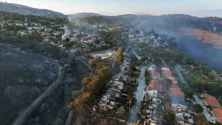 İzmir'de yangınların ardından hasar bilançosu ortaya çıktı