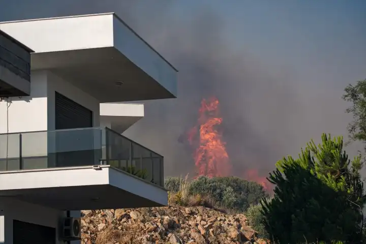 Çeşme'de orman yangınına havadan ve karadan müdahale sürüyor