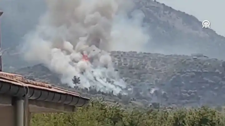 İzmir Selçuk'ta yangın