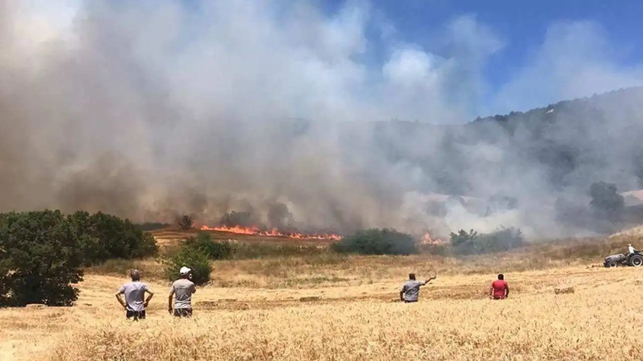 Balıkesir'de orman yangını: Havadan ve karadan müdahale devam ediyor! haberinin görseli