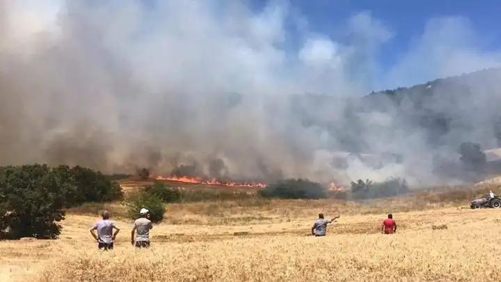 Balıkesir'de orman yangıını: Havadan ve karadan müdahale devam ediyor!