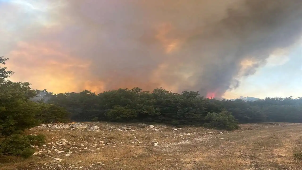 Bursa'da orman yangını: Müdahale ediliyor! haberinin görseli