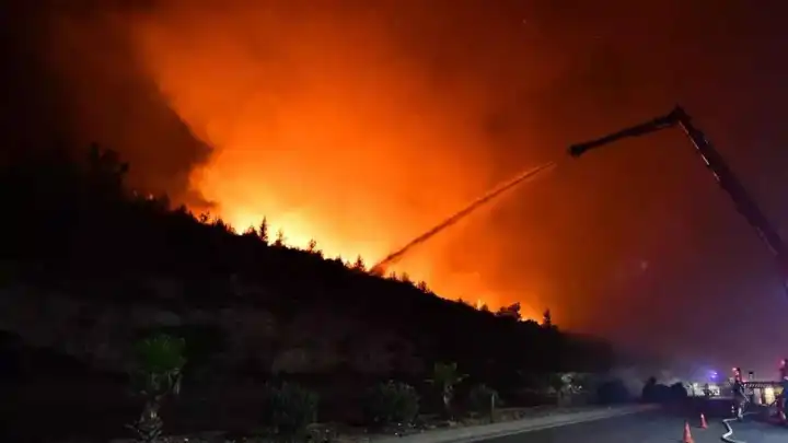 İzmir'in Buca ilçesindeki orman yangınına neden olan şüpheli tutuklandı
