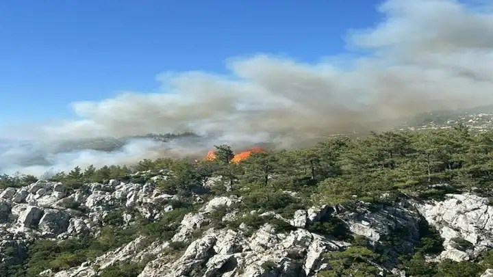 Muğla'da orman yangını: Müdahale devam ediyor