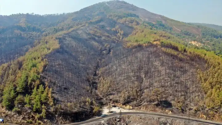 yangın
