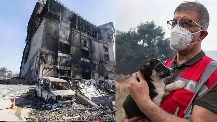 Yangın yaralarının sarılması için kampanya başlatılacak