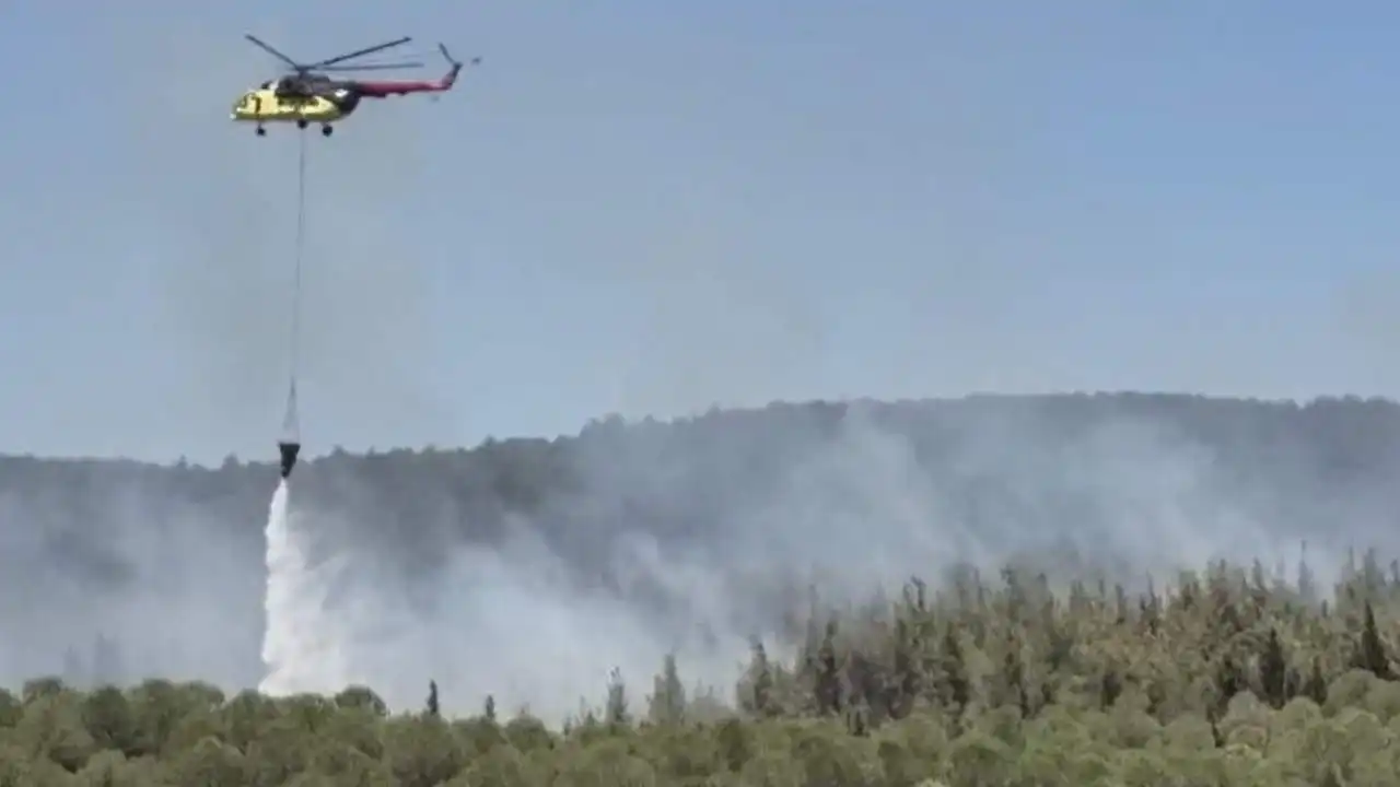 Çanakkale'de orman yangını haberinin görseli