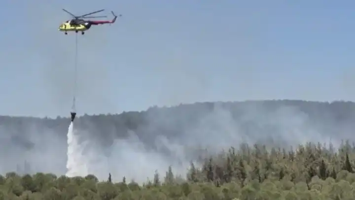 Çanakkale'de orman yangını