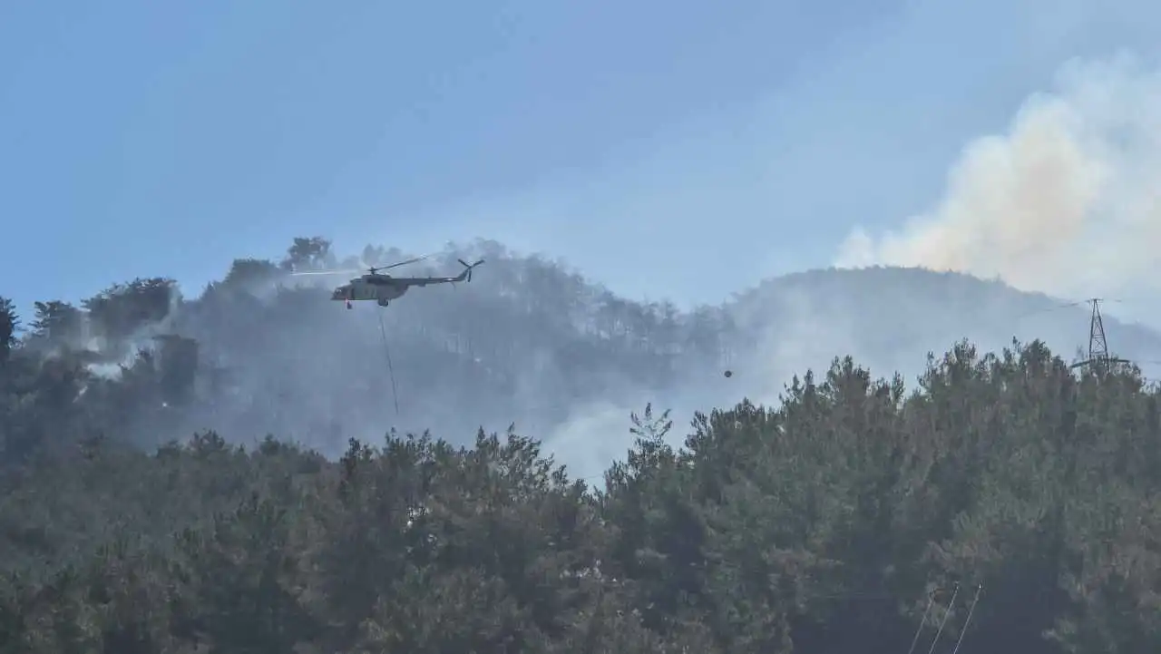 Hatay, Bursa ve Edirne'de orman yangınları kontrol altına alındı haberinin görseli