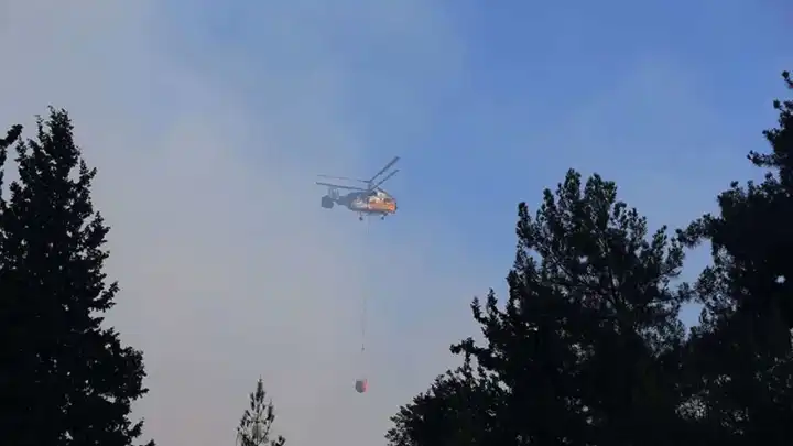 Hatay'da büyük orman yangını: Müdahale devam ediyor!