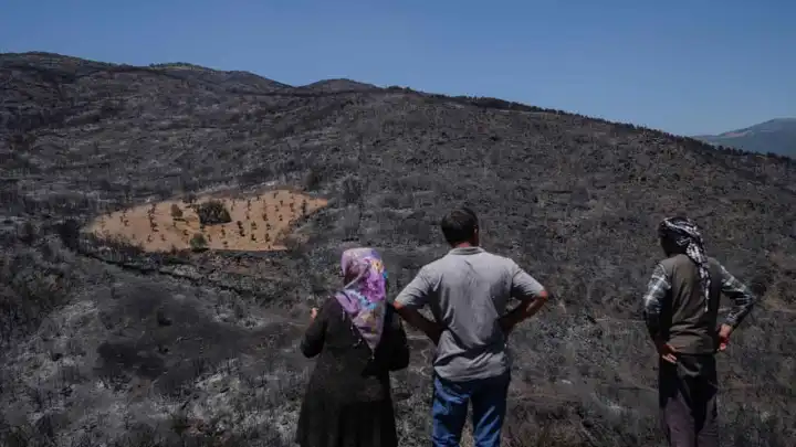İzmir'de önceden otlardan temizlenen bahçe zarar görmedi