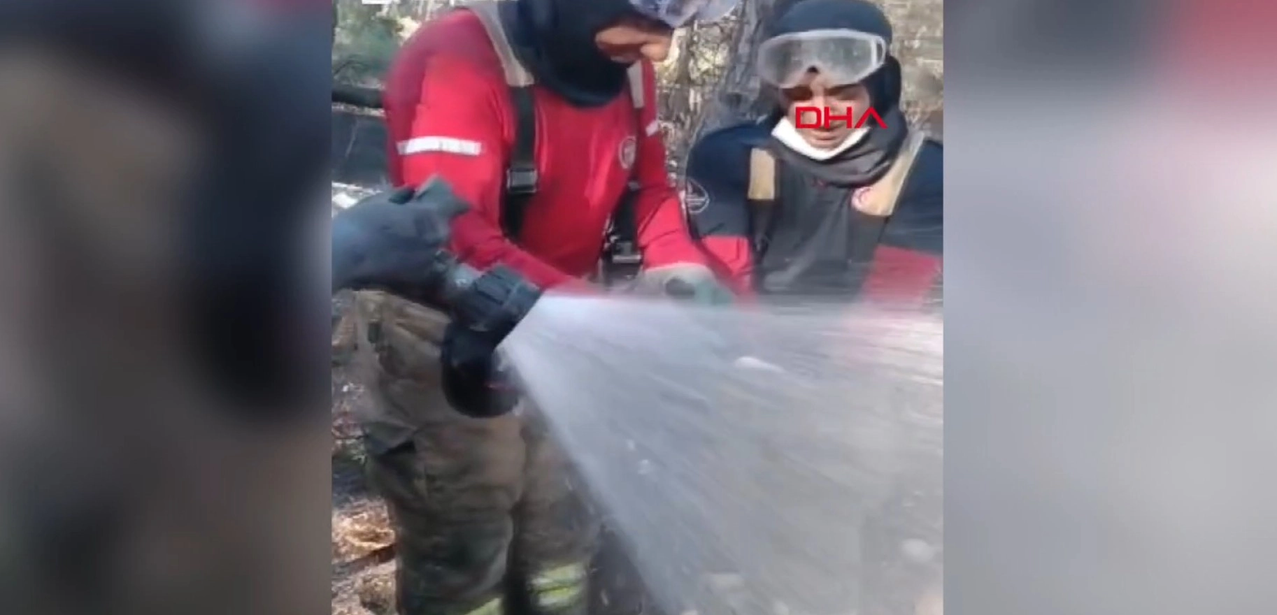 İzmir&#039;de orman yangınında can çekişirken bulunan balığı itfaiye kurtardı başlıklı video haberin görseli